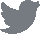 twitter-icon